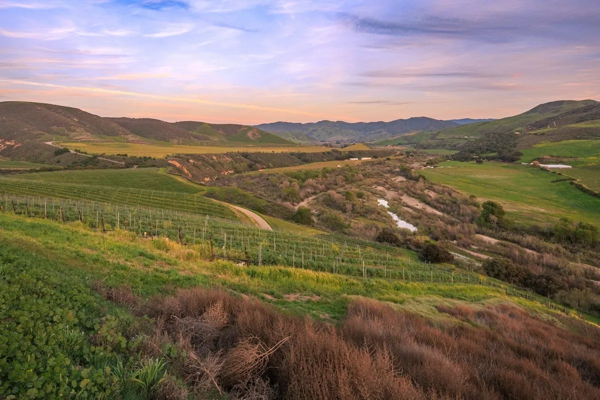 Lompoc City Council Rejects Proposal to Join Santa Barbara County Wine District