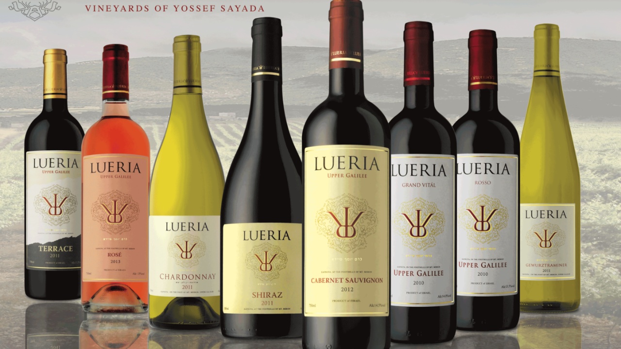 Lueria Winery Reopens to Boost Northern Israel’s Economy, Highlighting Unique Wines and Visitor Experiences