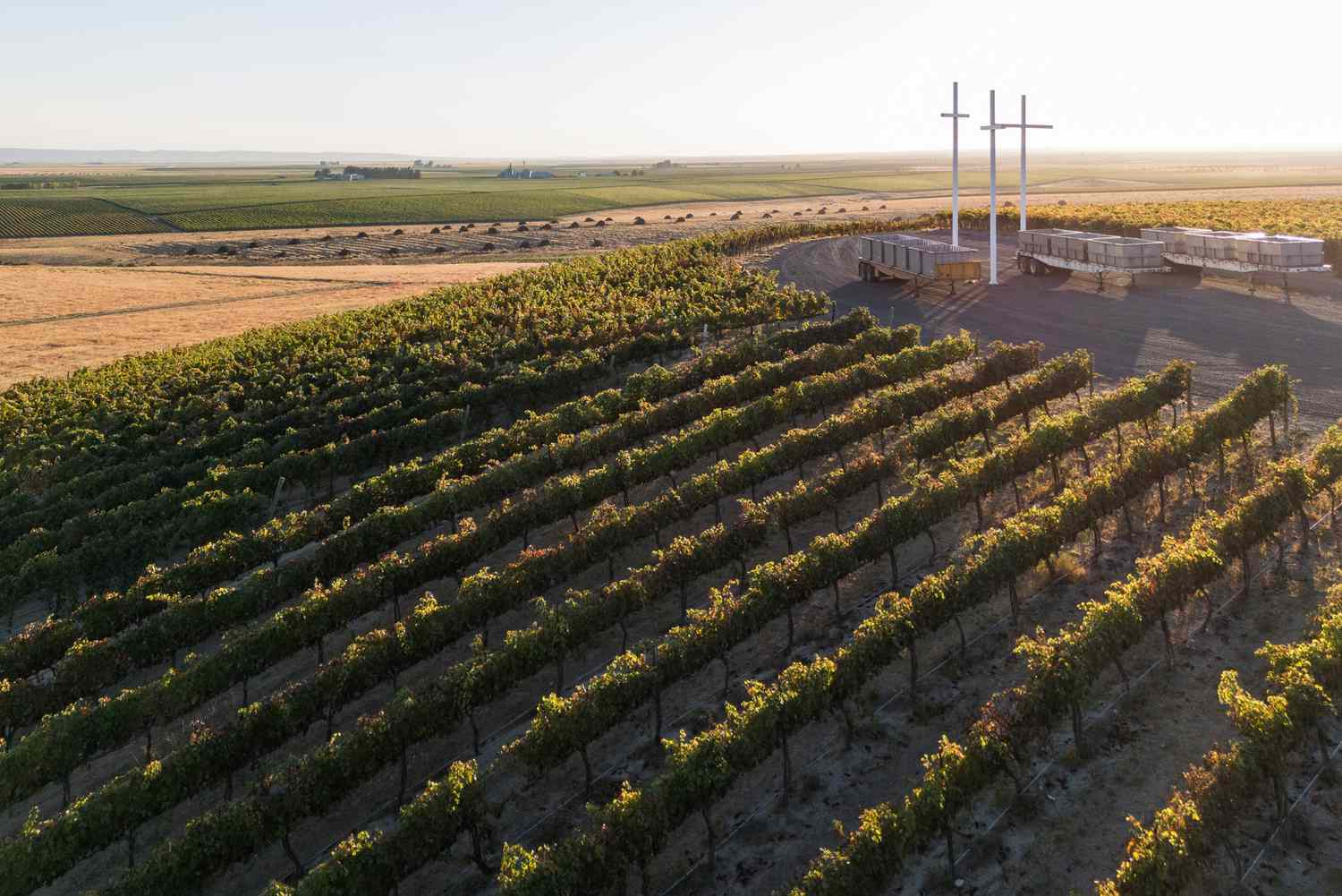 U.S. and Canadian Wine Growers Forge Landmark Trade Deal After Devastating B.C. Freeze