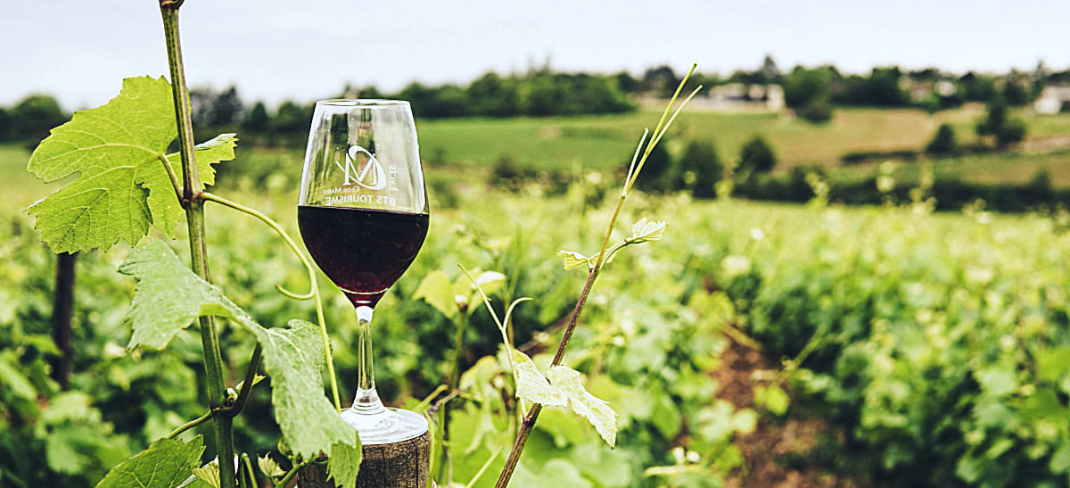 Wine Industry Faces Decline in Sales but Offers Consumers Unmatched Quality and Affordability