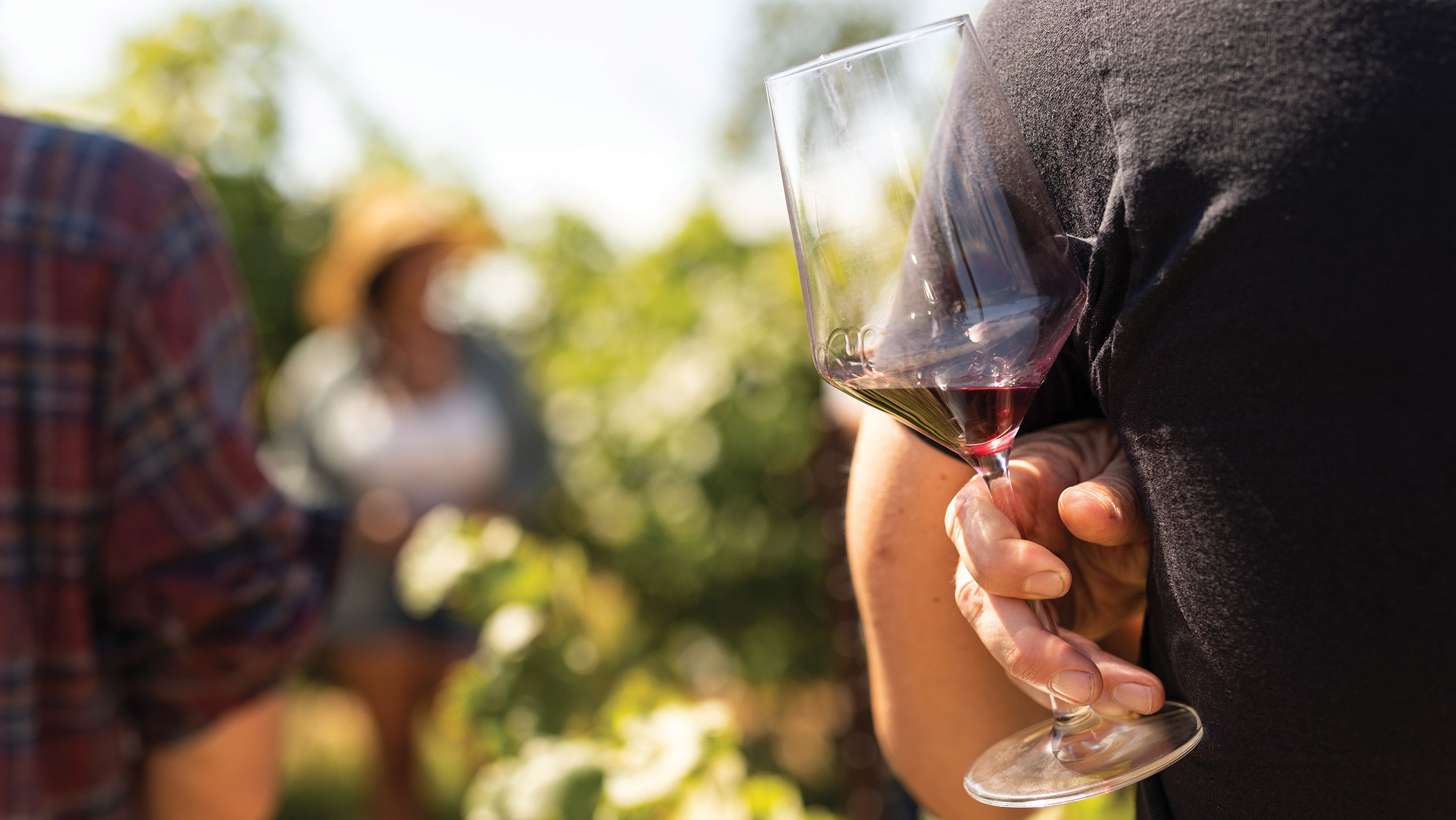 Wine Industry Faces Decline in Sales but Offers Consumers Unmatched Quality and Affordability