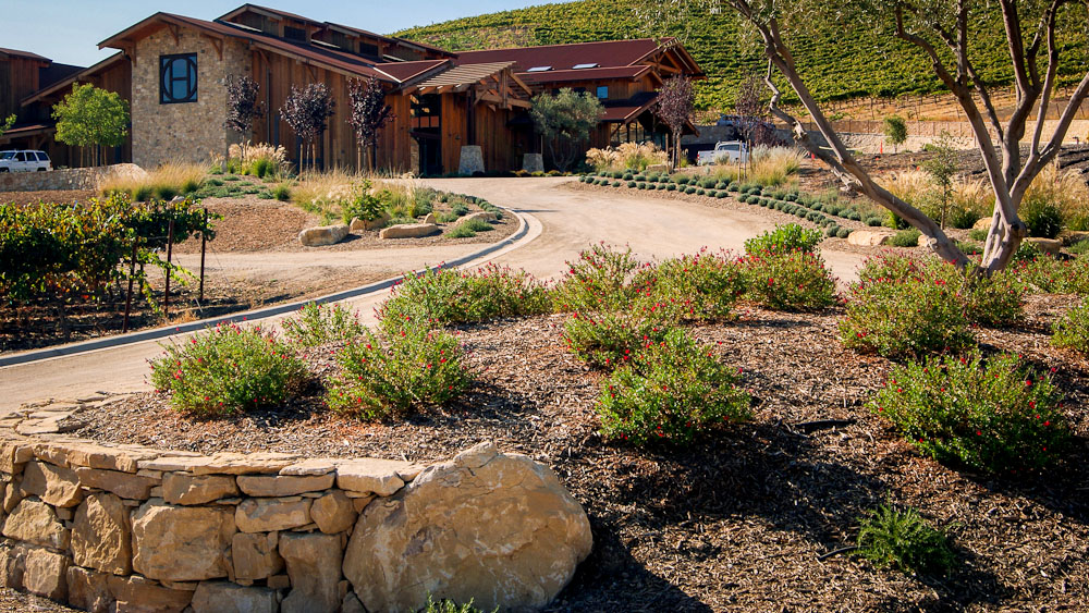 Discover Paso Robles a Historic Wine Haven with Diverse Grapes and Acclaimed Vintages