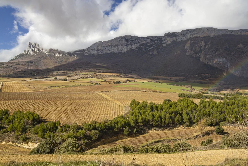 La Rioja, Spain: The Heart of Tempranillo