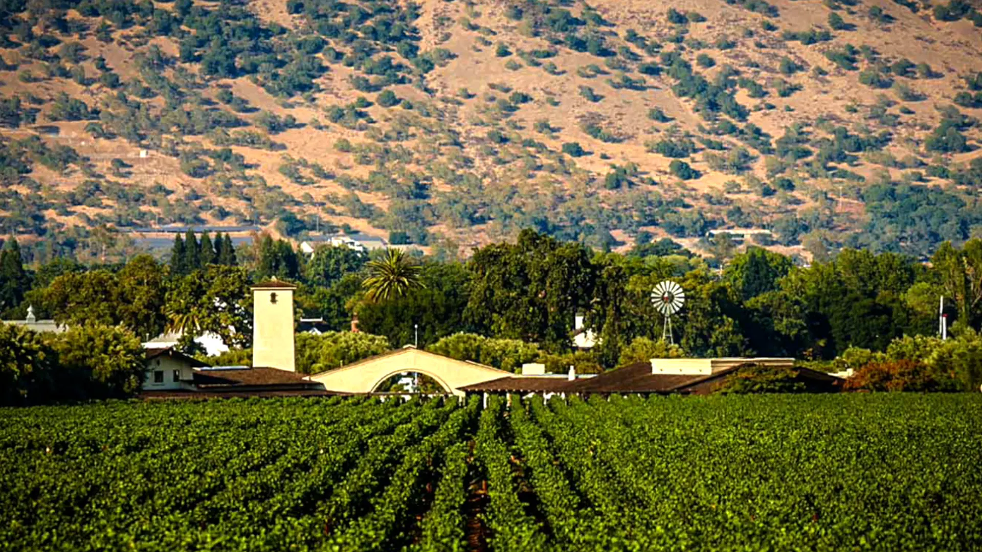 Napa Valley, California: America’s Wine Capital