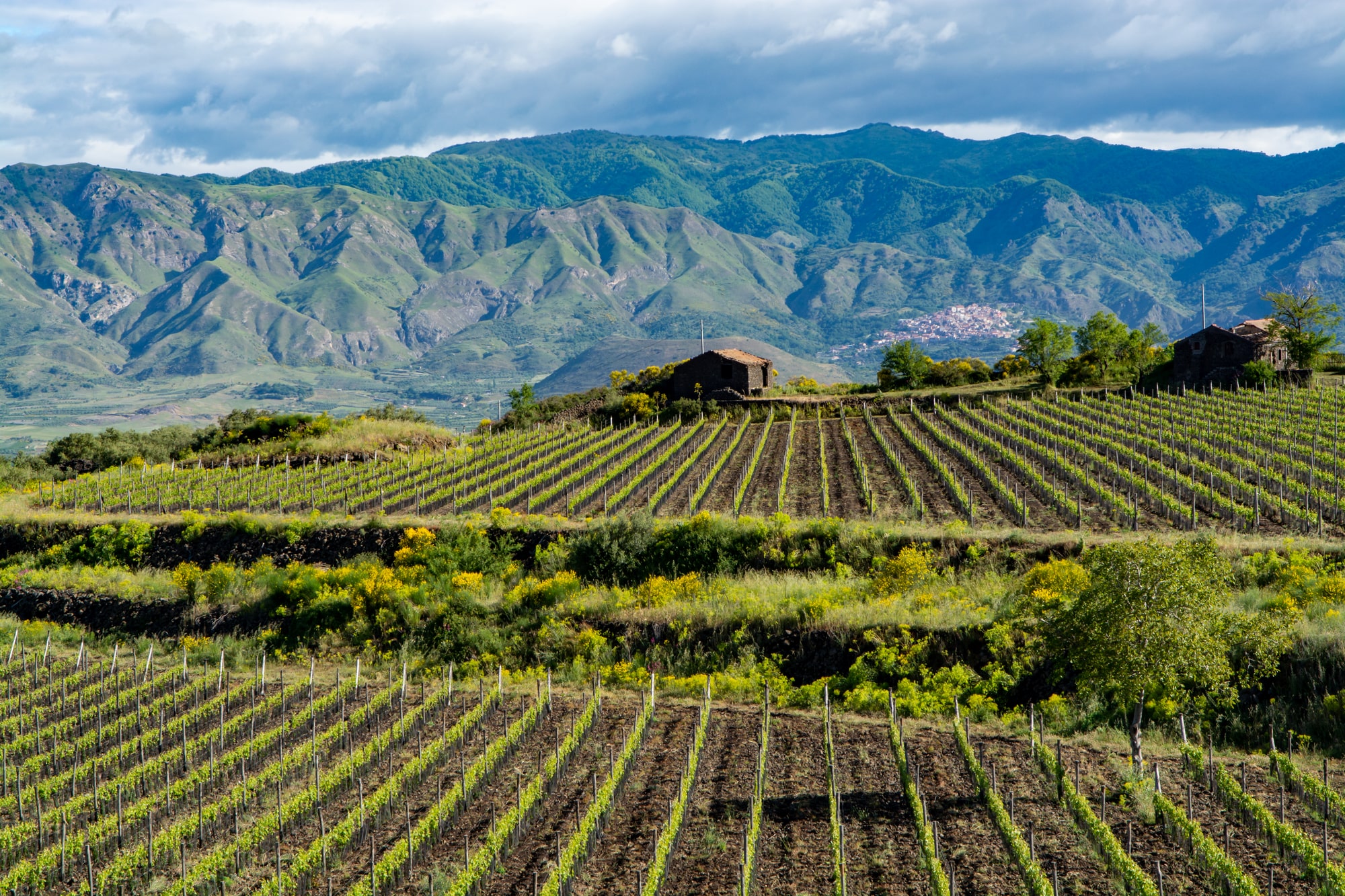 Sicily, Italy: A Volcanic Wine Paradise