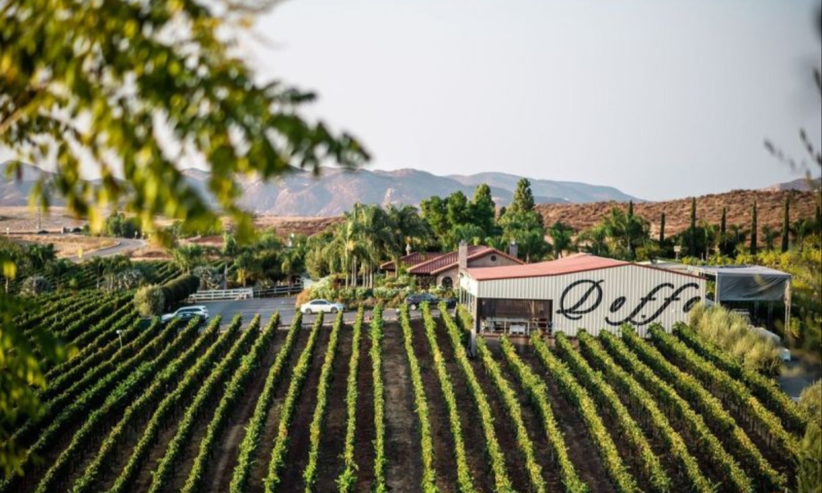 Temecula Valley Emerges as a Top Wine Destination with Diverse Terroir and Expert Craftsmanship