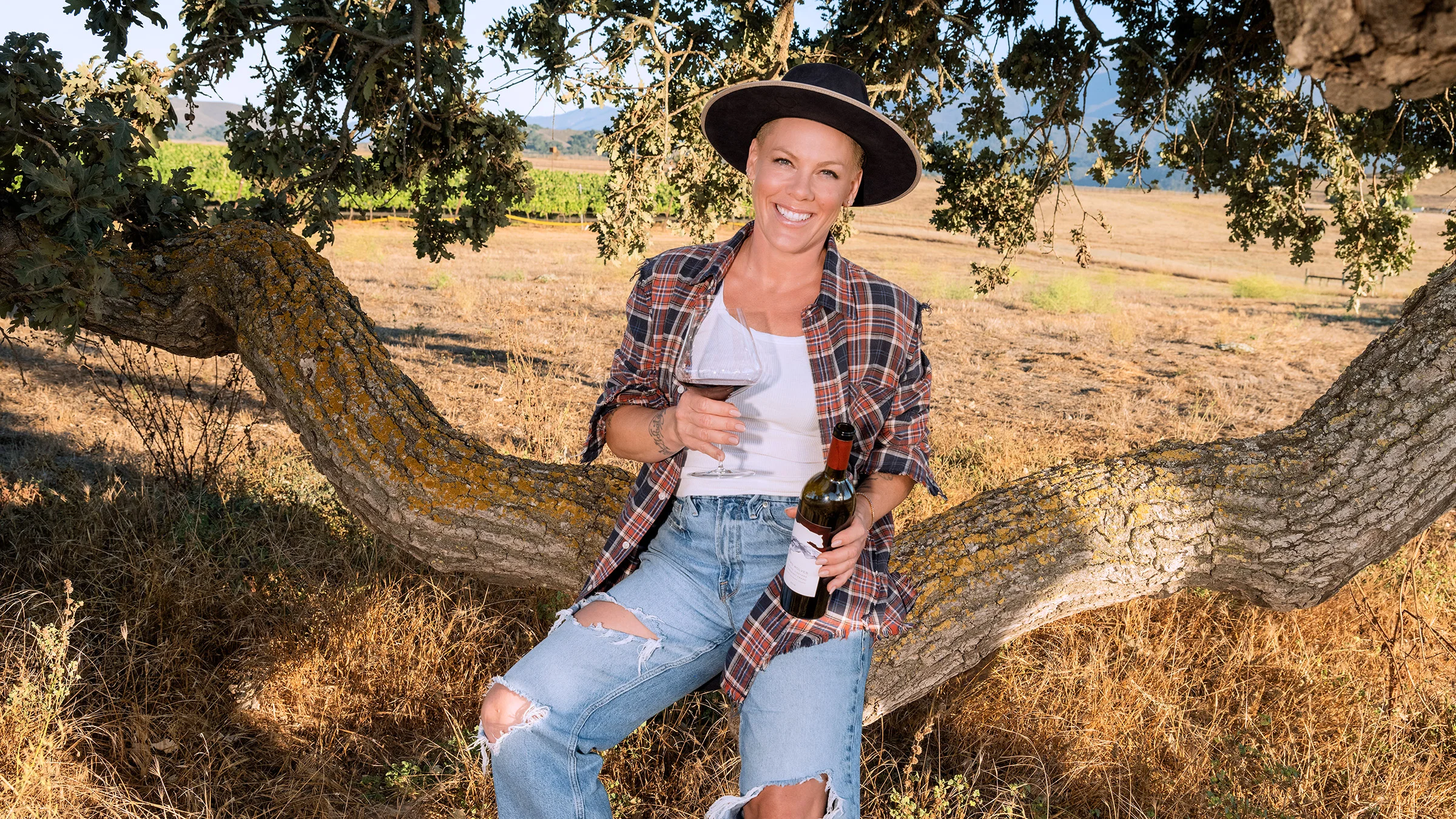 Wine Industry Faces Decline as Passionate Producers Like P!nk Champion Authentic