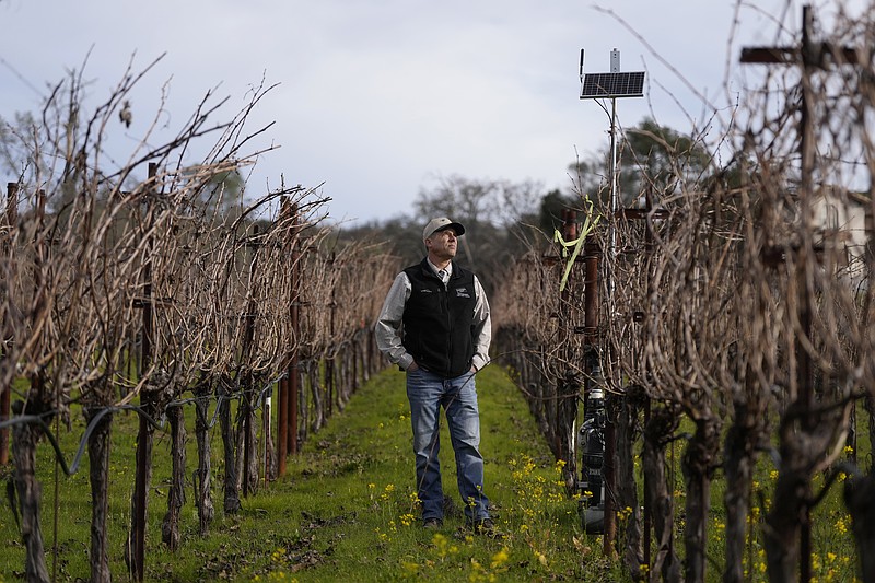 AI Reshapes Napa Valley Winemaking With Autonomous Tractors and Precision Farming