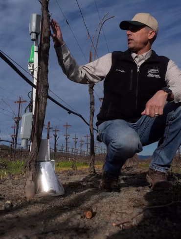 AI Reshapes Napa Valley Winemaking With Autonomous Tractors and Precision Farming