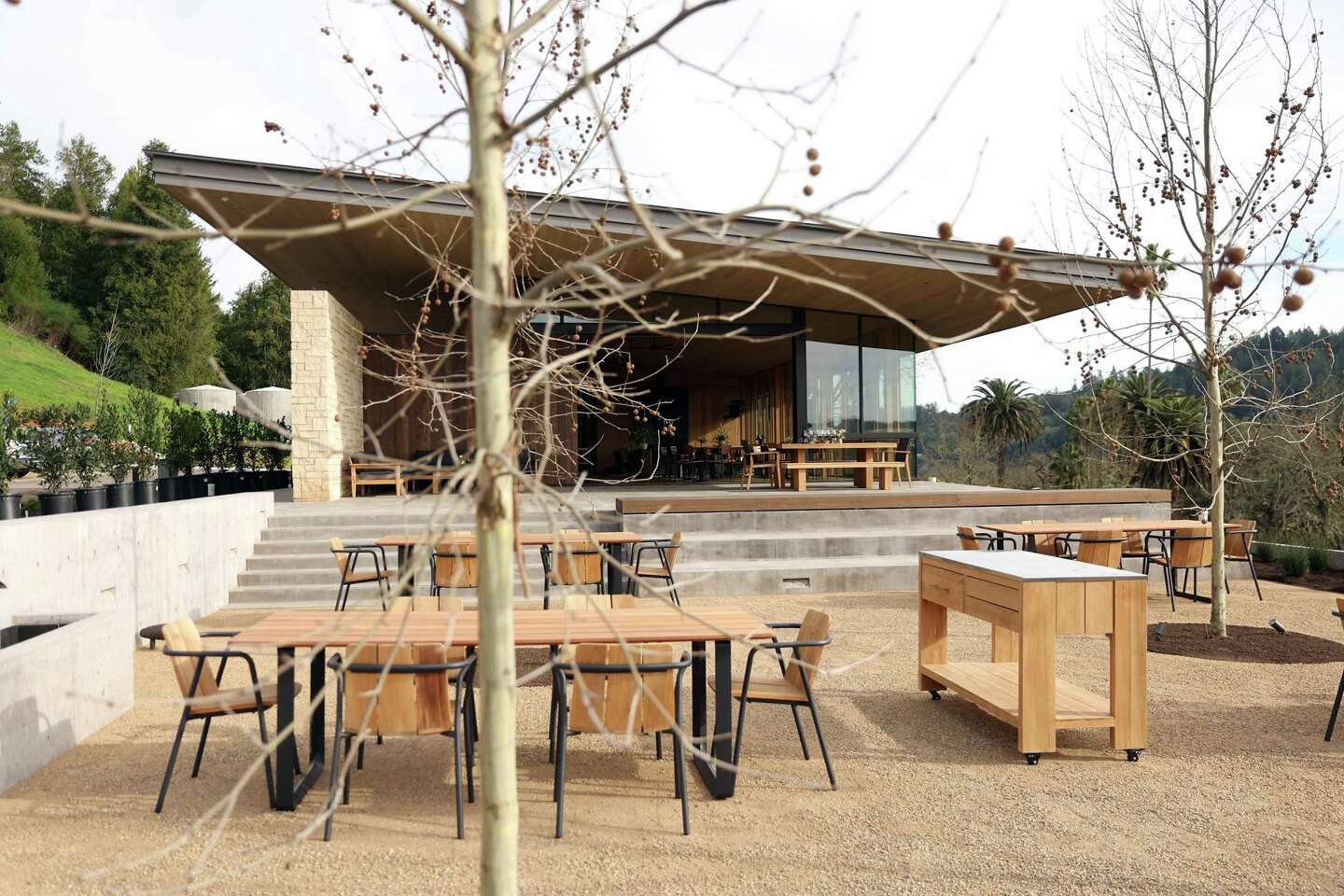 Auteur Wines Opens Stunning New Winery, Blending Modern Design with Timeless Craftsmanship