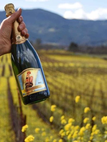 La Chertosa Wines Partners with Sonoma Film Festival, Showcasing Award-Winning Wines