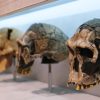 New Study Reveals Modern Humans Evolved from Two Ancient Populations, Not One