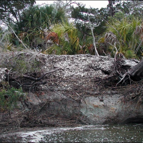 Ancient Oyster Mounds Reveal Indigenous Roots of Coastal Resilience on Georgia’s Barrier Islands