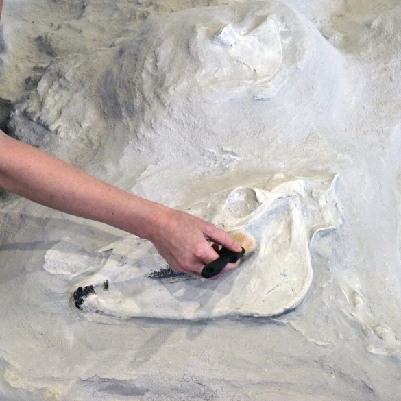 Ancient Rhinos Once Roamed Nebraska in Sedentary Herds, Fossil Clues Reveal 12-Million-Year-Old Lifestyle