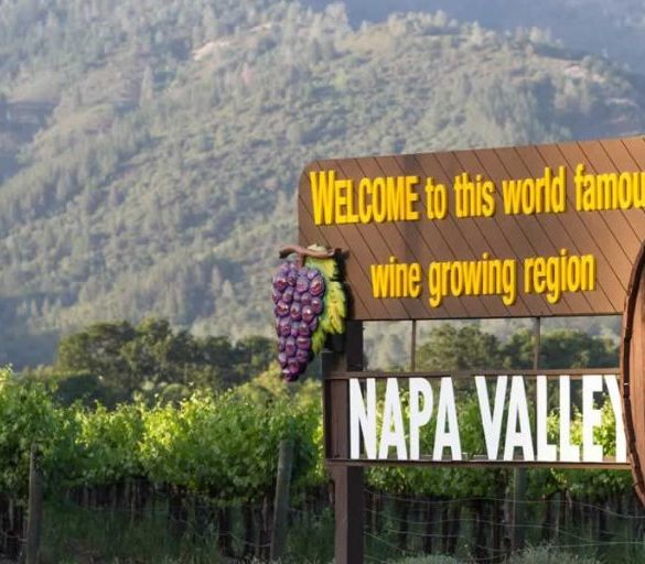 Wine Regions You Need to Explore in 2025