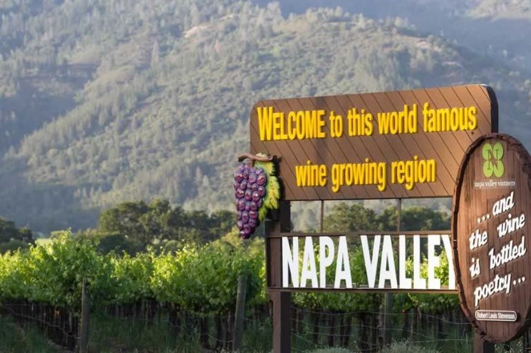 Wine Regions You Need to Explore in 2025
