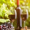 The Role of Terroir in Wine Flavor
