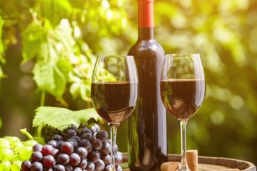 The Role of Terroir in Wine Flavor