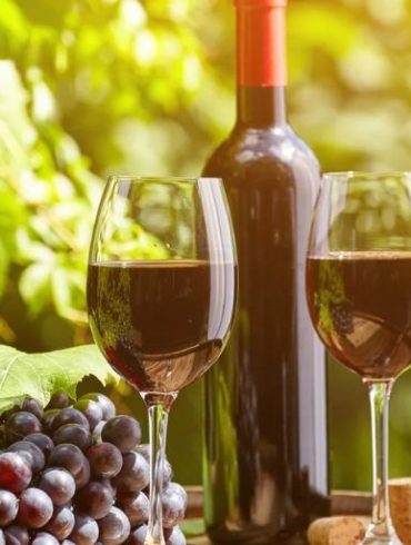 The Role of Terroir in Wine Flavor