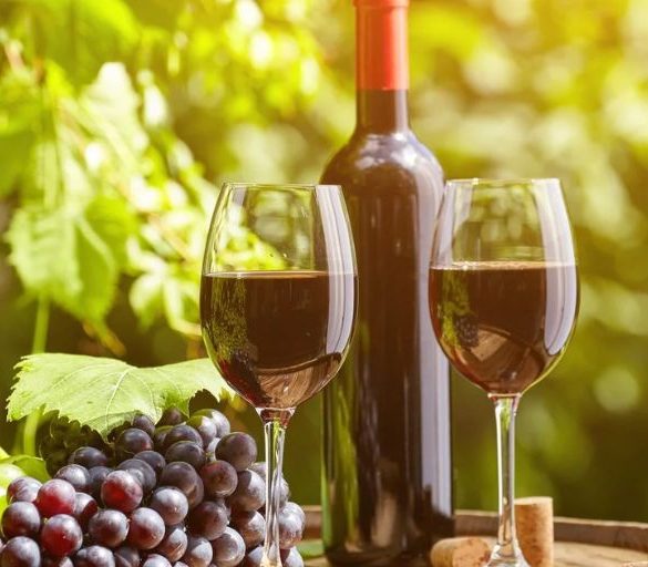 The Role of Terroir in Wine Flavor