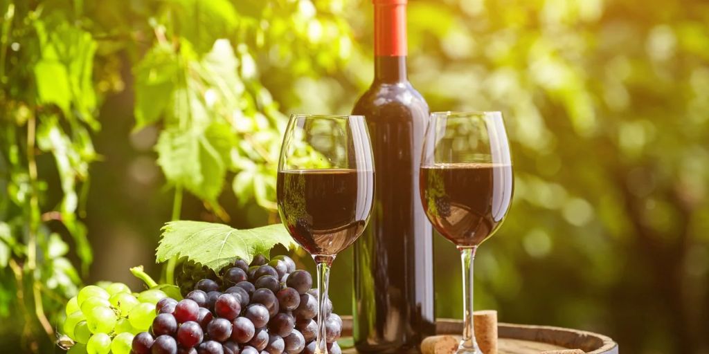 The Role of Terroir in Wine Flavor