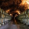 The Science Behind Wine Aging