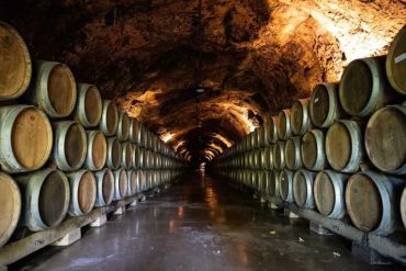 The Science Behind Wine Aging