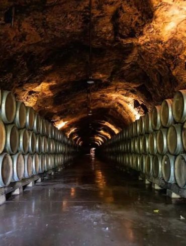 The Science Behind Wine Aging