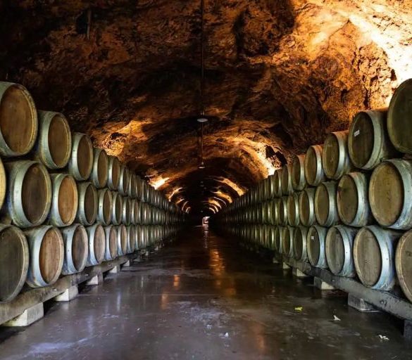 The Science Behind Wine Aging