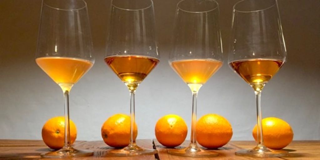 Wine Health Benefits: Myth vs Reality