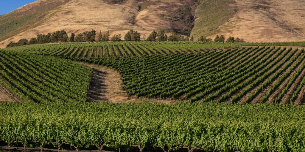 World of Pinot Noir – Santa Barbara, California, USA