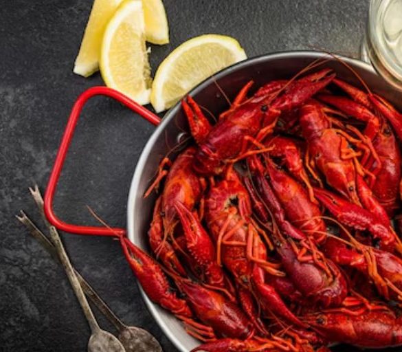 Best Wines for Seafood Dishes