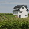 Niagara Wine Region Grapples With Sweet Roots and Dry Wine Dreams Amid Identity Crisis