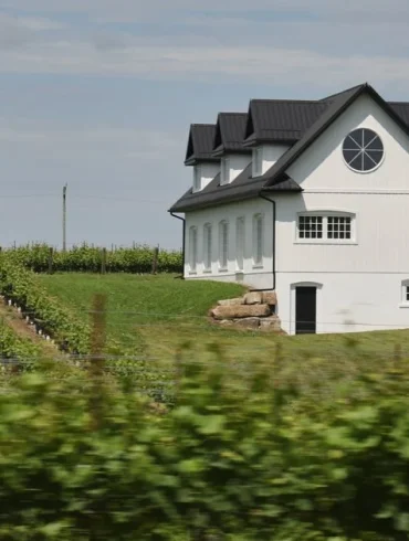 Niagara Wine Region Grapples With Sweet Roots and Dry Wine Dreams Amid Identity Crisis