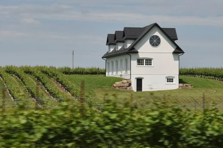 Niagara Wine Region Grapples With Sweet Roots and Dry Wine Dreams Amid Identity Crisis