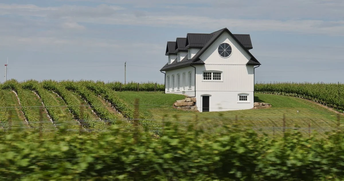 Niagara Wine Region Grapples With Sweet Roots and Dry Wine Dreams Amid Identity Crisis