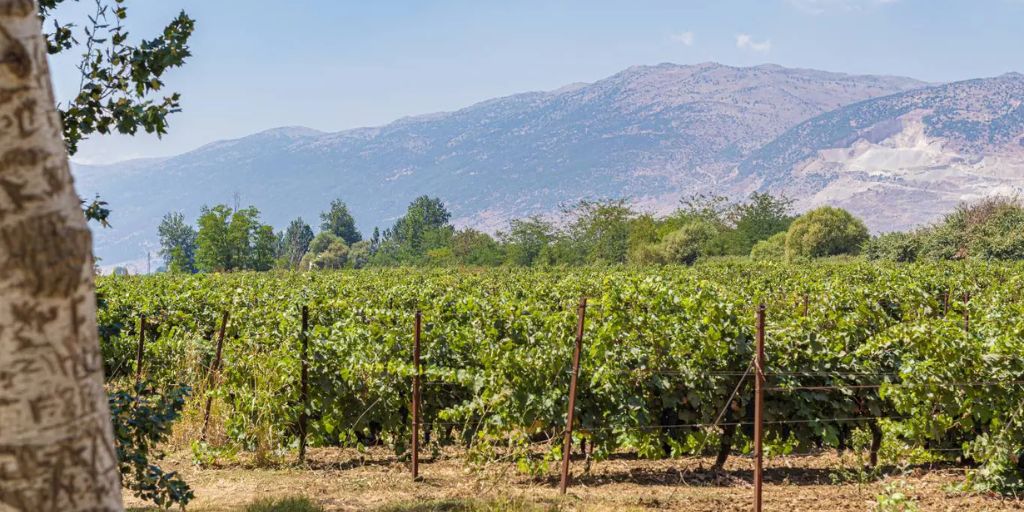The Bekaa Valley, Lebanon