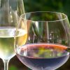The Best Wine Glasses for Red vs White