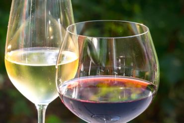 The Best Wine Glasses for Red vs White