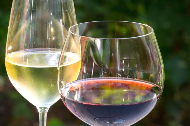The Best Wine Glasses for Red vs White