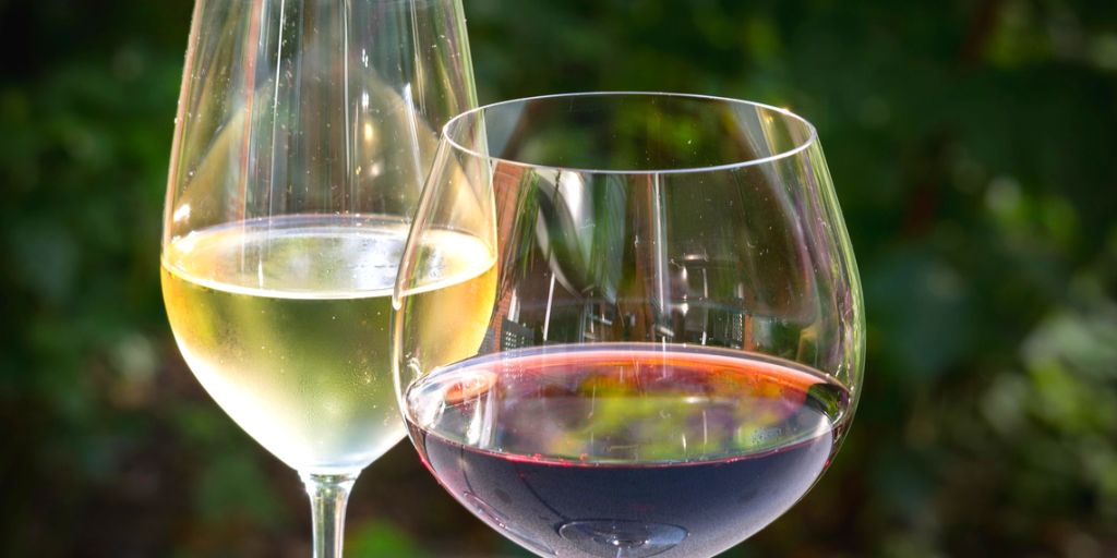 The Best Wine Glasses for Red vs White